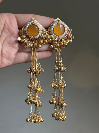 Bazm Kashmiri Earrings
