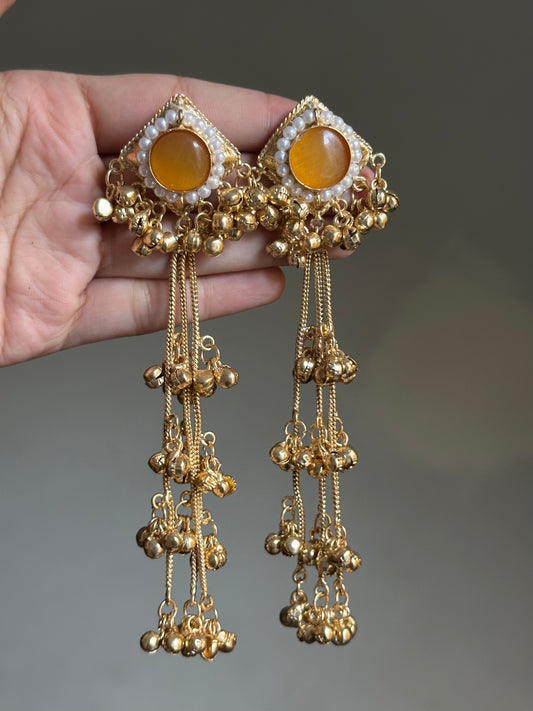 Bazm Kashmiri Earrings