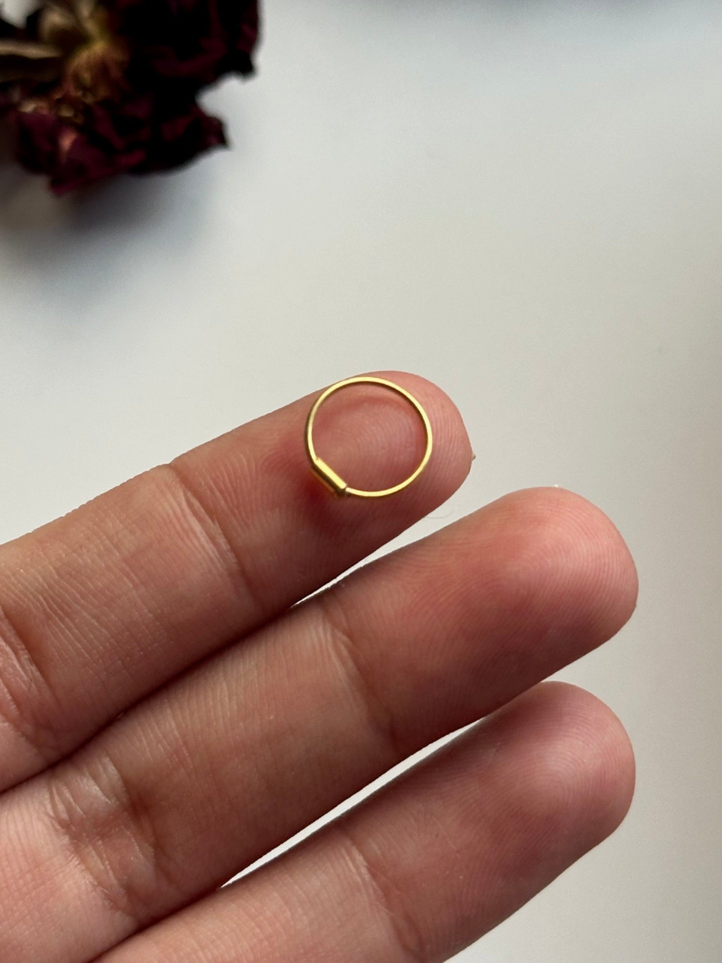 Golden plain Nosering