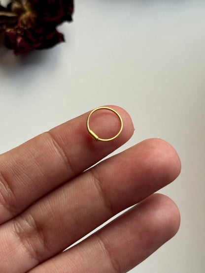 Golden plain Nosering